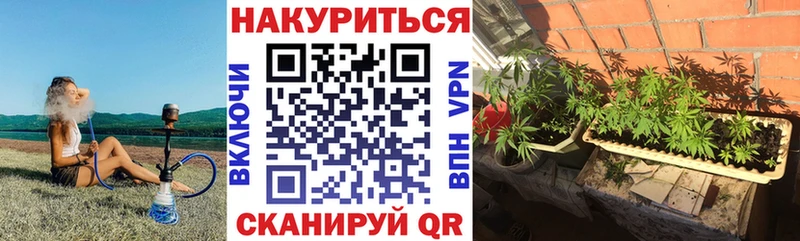 Канабис VHQ Вытегра